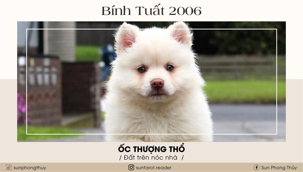 Bính Tuất (2006)