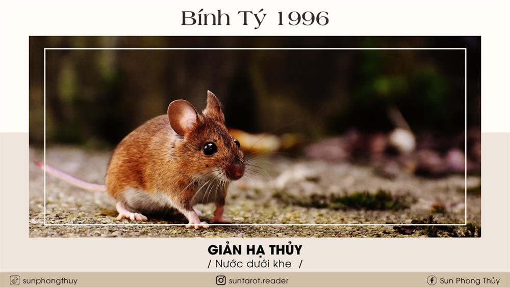 Bính Tý (1996)