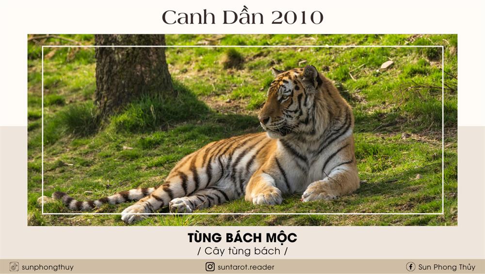 Canh Dần (1950 & 2010)