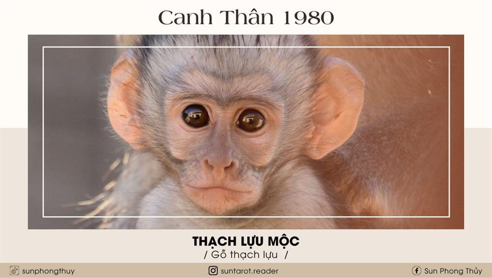 Canh Thân (1980)