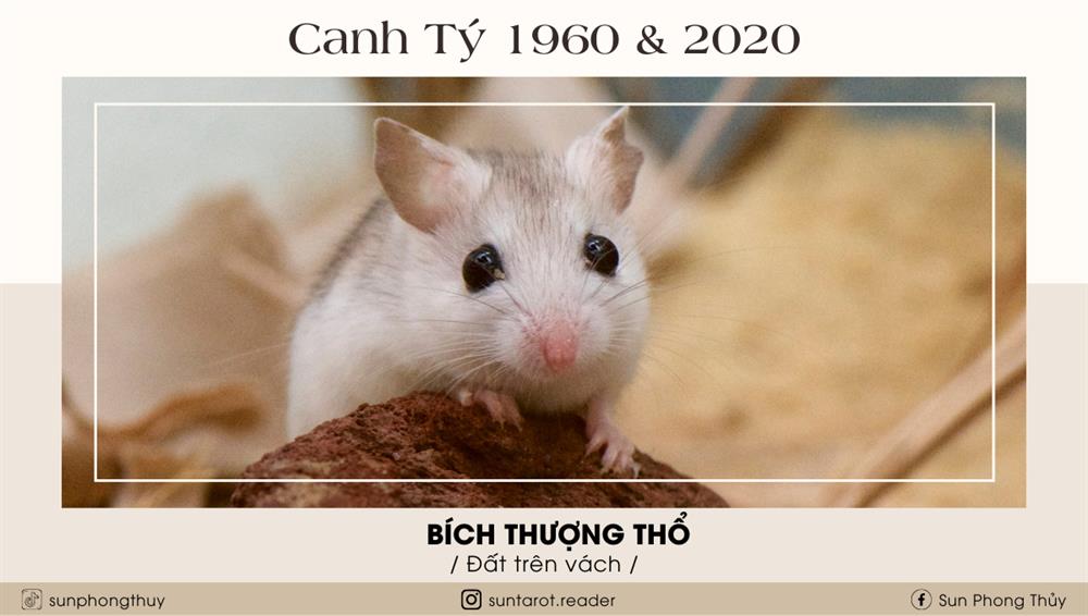 Canh Tý (1960 & 2020)