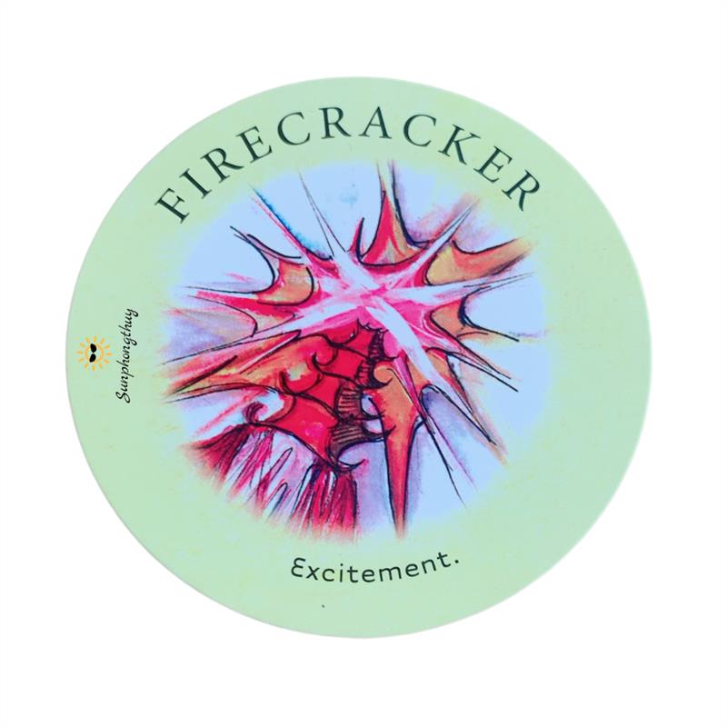 Firecracker