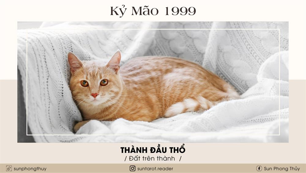 Kỷ Mão (1999)