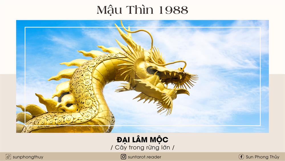 Mậu Thìn (1988)