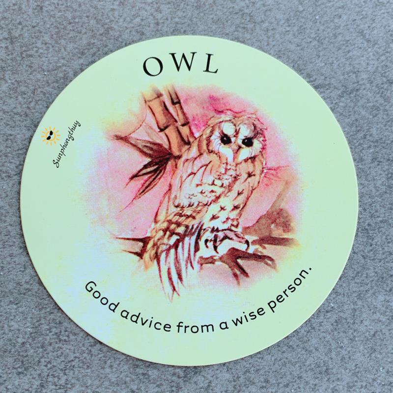 Owl