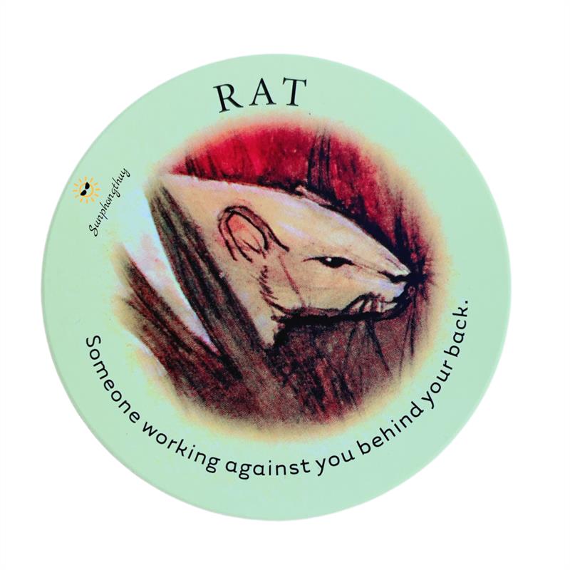 Rat