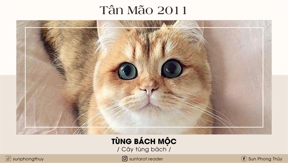 Tân Mão (1951 & 2011)