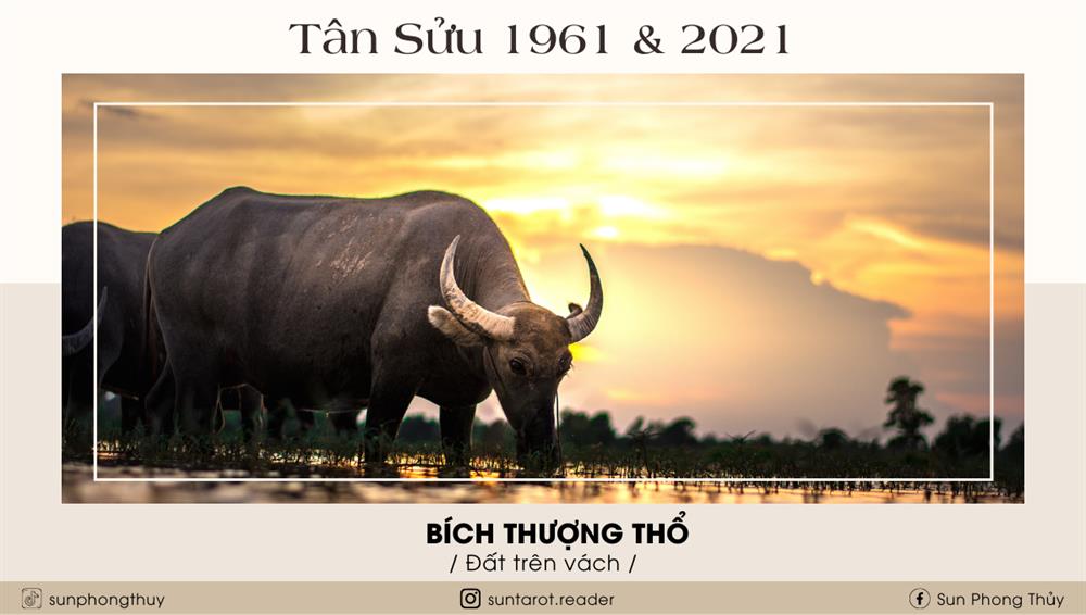 Tân Sửu (1961 & 2021)