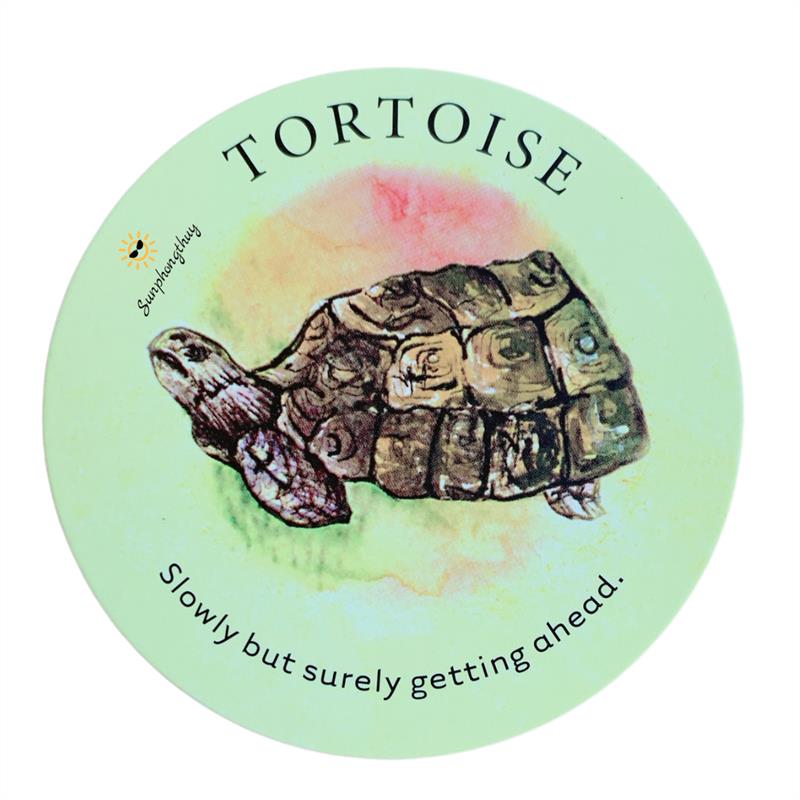 Tortoise