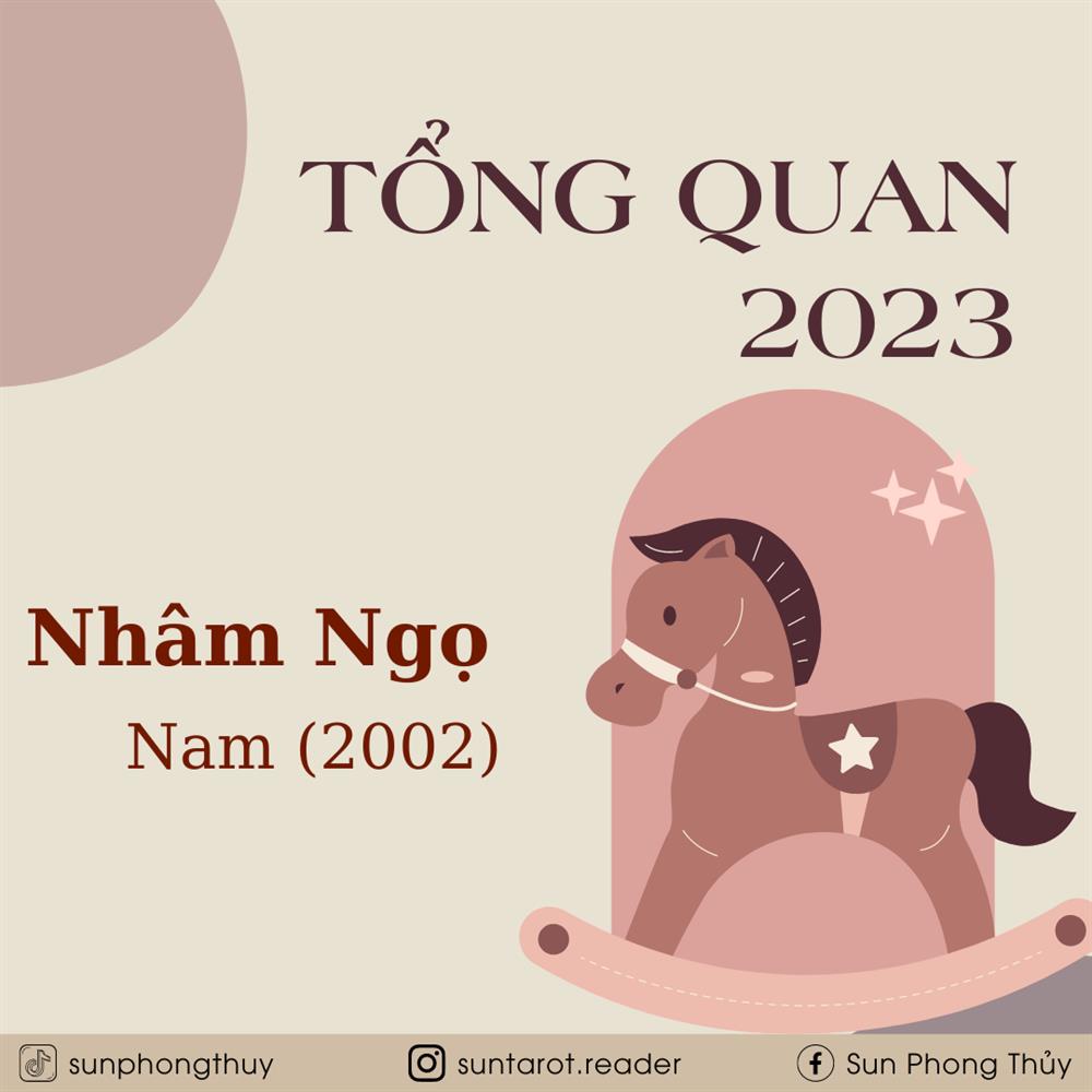 Tử vi 2023 tuổi Nhâm Ngọ 2002 (Nam mạng)