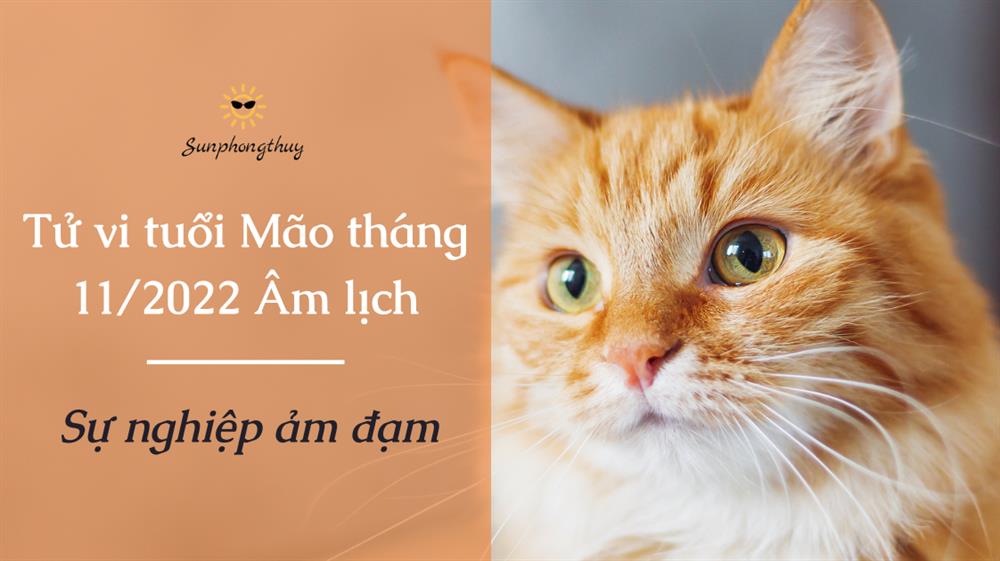 Tử vi tuổi Mão tháng 11/2022 Âm lịch