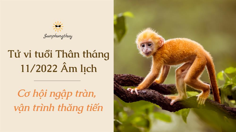 Tử vi tuổi Thân tháng 11/2022 Âm lịch