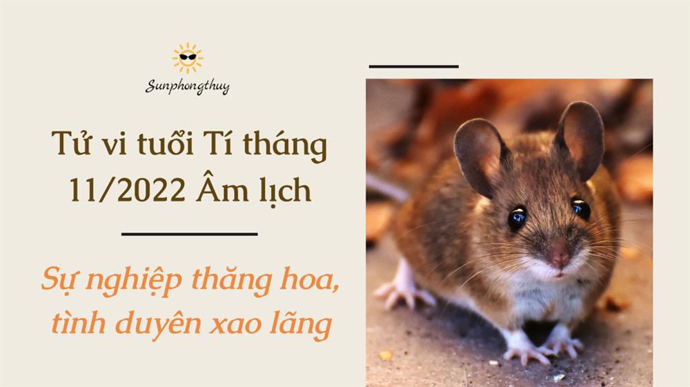 Tử vi tuổi Tí tháng 11/2022 Âm lịch