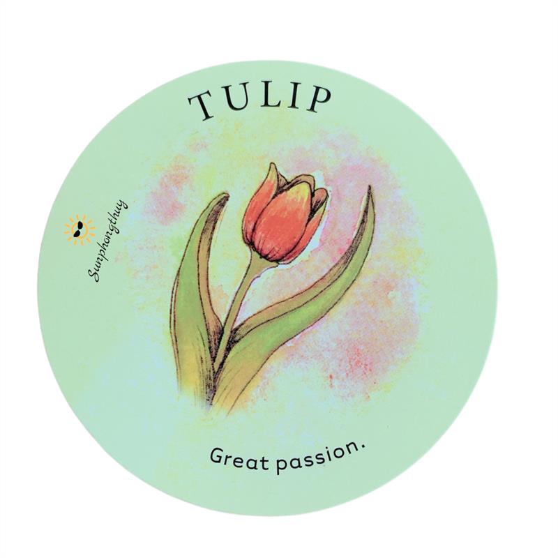 Tulip